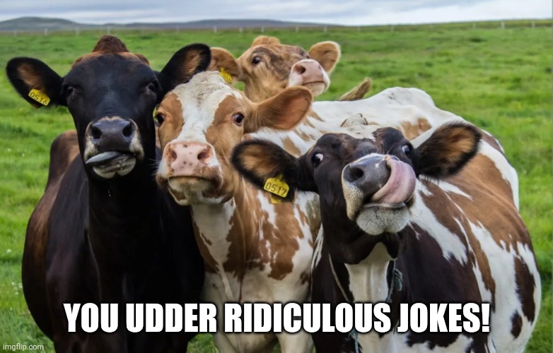 YOU UDDER RIDICULOUS JOKES! | made w/ Imgflip meme maker