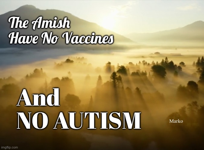 THEY don’t Generate their own problems | The Amish
Have No Vaccines; And
NO AUTISM; Marko | image tagged in memes,all vaccines r poison,stop this industry,they must be stopped,demonrats leftists fjb voters kissmyass | made w/ Imgflip meme maker