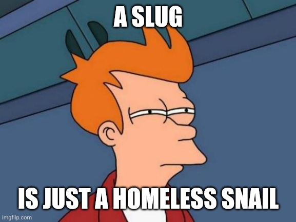 Futurama Fry Meme | A SLUG; IS JUST A HOMELESS SNAIL | image tagged in memes,futurama fry | made w/ Imgflip meme maker