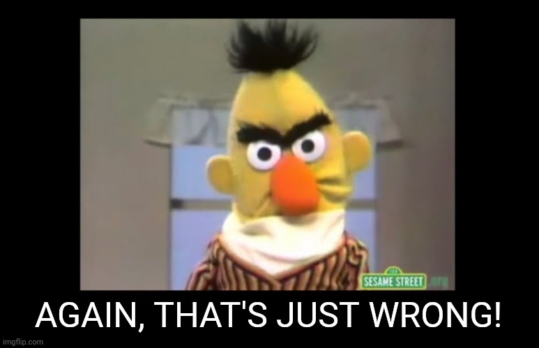 Angry Bert | AGAIN, THAT'S JUST WRONG! | image tagged in angry bert | made w/ Imgflip meme maker