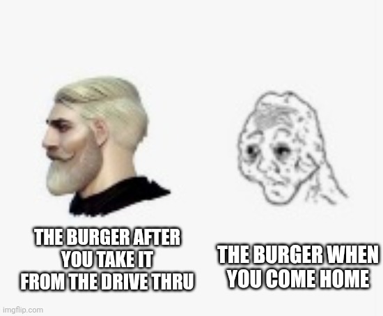 Before vs after | THE BURGER WHEN
YOU COME HOME; THE BURGER AFTER
YOU TAKE IT FROM THE DRIVE THRU | image tagged in before vs afrer | made w/ Imgflip meme maker