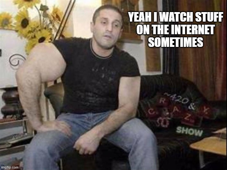 Whatchu watchin | YEAH I WATCH STUFF
ON THE INTERNET
SOMETIMES | image tagged in internet | made w/ Imgflip meme maker