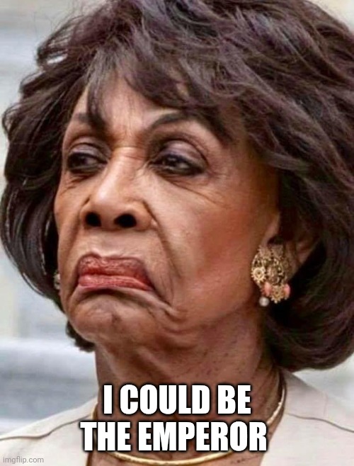 Maxine Waters | I COULD BE THE EMPEROR | image tagged in maxine waters | made w/ Imgflip meme maker