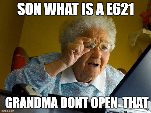 Grandma Finds The Internet | SON WHAT IS A E621; GRANDMA DONT OPEN  THAT | image tagged in memes,grandma finds the internet | made w/ Imgflip meme maker