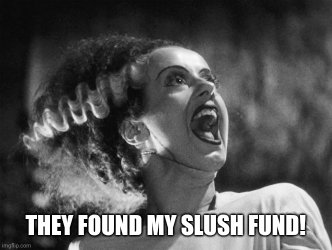 They Deleted (again) | THEY FOUND MY SLUSH FUND! | image tagged in the bride of frankenstein,1st amendment | made w/ Imgflip meme maker