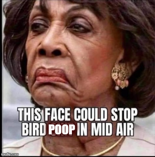 Scary face Maxine! | POOP | image tagged in maxine waters,bird,poop | made w/ Imgflip meme maker