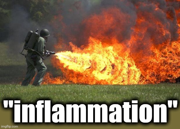 flamethrower | "inflammation" | image tagged in flamethrower | made w/ Imgflip meme maker