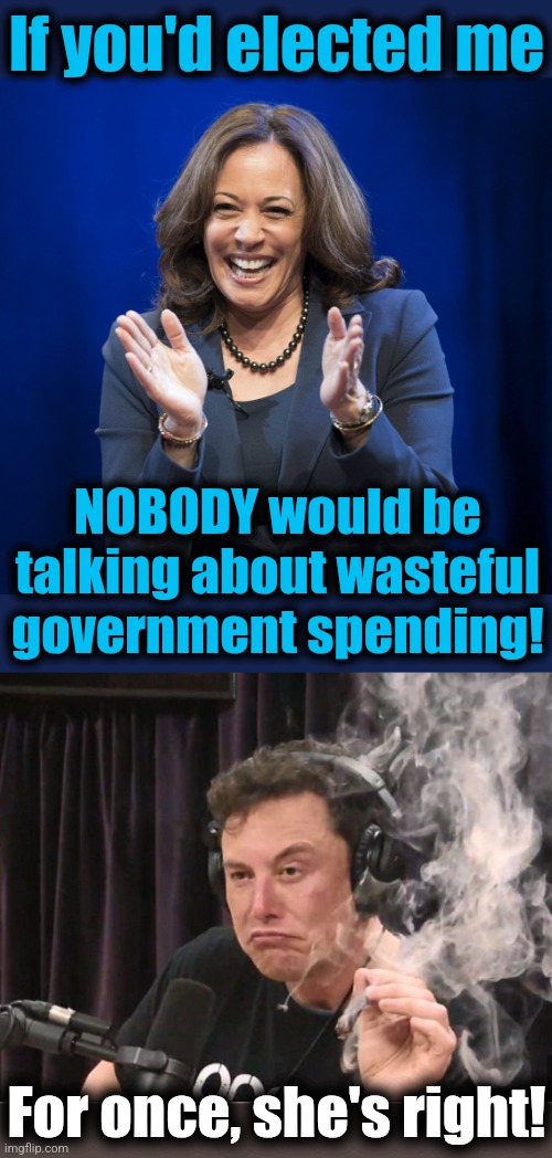 Because if you did, you'd get a visit from the FBI! | If you'd elected me; NOBODY would be talking about wasteful government spending! For once, she's right! | image tagged in kamala harris laughing,elon musk smoking a joint,wasteful government spending,democrats,memes,doge | made w/ Imgflip meme maker