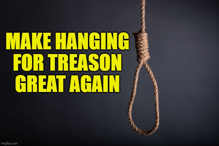 MHGA | MAKE HANGING
FOR TREASON
GREAT AGAIN | image tagged in hang traitors,maga,traitor,traitors,doge,elon musk | made w/ Imgflip meme maker