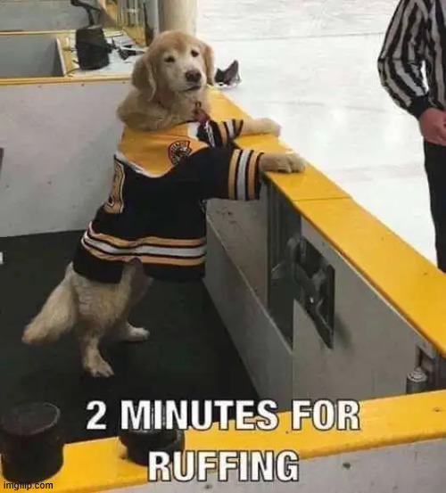 Ruffing | image tagged in eyeroll,ruffing | made w/ Imgflip meme maker