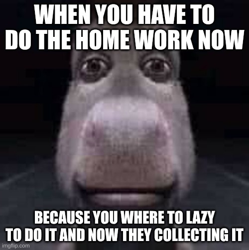 Donkey staring | WHEN YOU HAVE TO DO THE HOME WORK NOW; BECAUSE YOU WHERE TO LAZY TO DO IT AND NOW THEY COLLECTING IT | image tagged in donkey staring | made w/ Imgflip meme maker