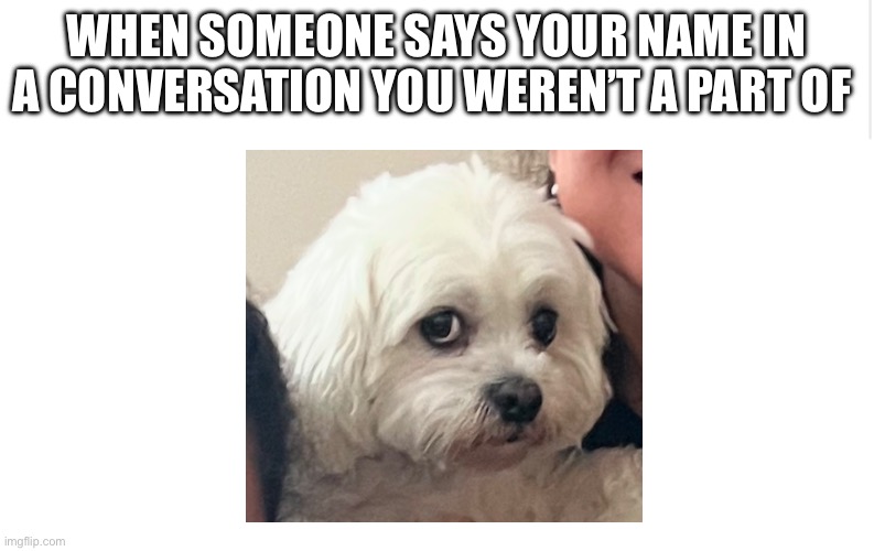 Blank meme template | WHEN SOMEONE SAYS YOUR NAME IN A CONVERSATION YOU WEREN’T A PART OF | image tagged in blank meme template | made w/ Imgflip meme maker