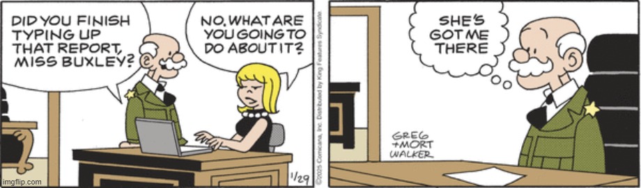 Beetle Bailey | image tagged in comics | made w/ Imgflip meme maker