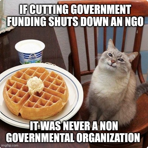 Waffle cat | IF CUTTING GOVERNMENT FUNDING SHUTS DOWN AN NGO; IT WAS NEVER A NON GOVERNMENTAL ORGANIZATION | image tagged in waffle cat,funny memes | made w/ Imgflip meme maker