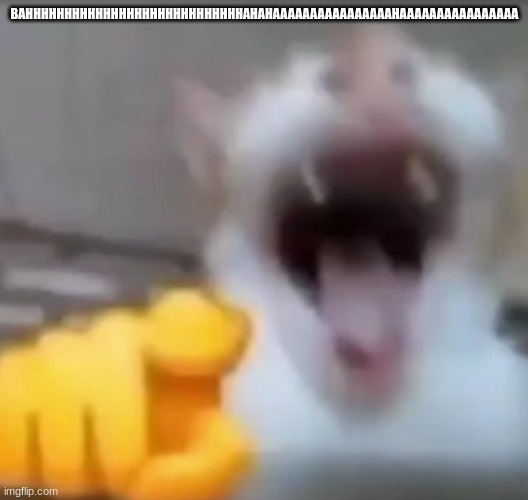 Cat pointing and laughing | BAHHHHHHHHHHHHHHHHHHHHHHHHHHHHAHAHAAAAAAAAAAAAAAAAHAAAAAAAAAAAAAAAA | image tagged in cat pointing and laughing | made w/ Imgflip meme maker