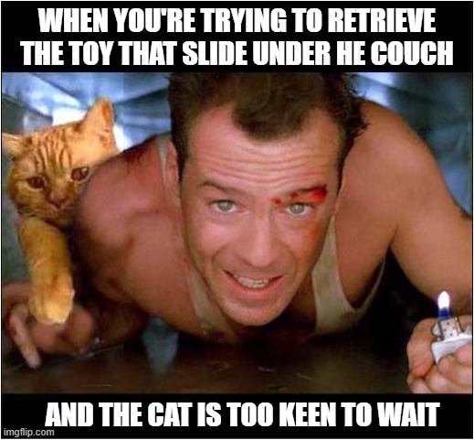 This Was Always Going To Happen ! | WHEN YOU'RE TRYING TO RETRIEVE
THE TOY THAT SLIDE UNDER HE COUCH; AND THE CAT IS TOO KEEN TO WAIT | image tagged in cats,toy,chair,bruce willis | made w/ Imgflip meme maker