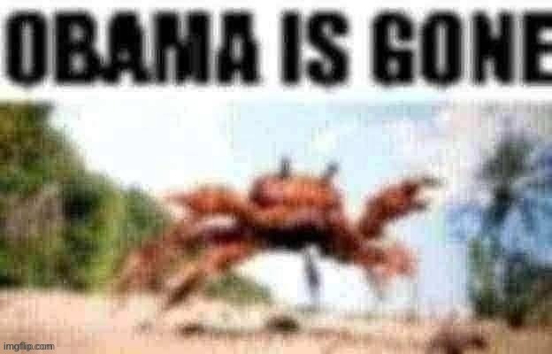 NOOO NOT OBAMNA | image tagged in obama is gone | made w/ Imgflip meme maker