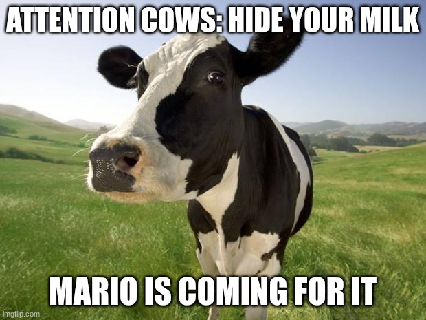 Warning: Store 4 Coming Soon | ATTENTION COWS: HIDE YOUR MILK; MARIO IS COMING FOR IT | image tagged in cow | made w/ Imgflip meme maker