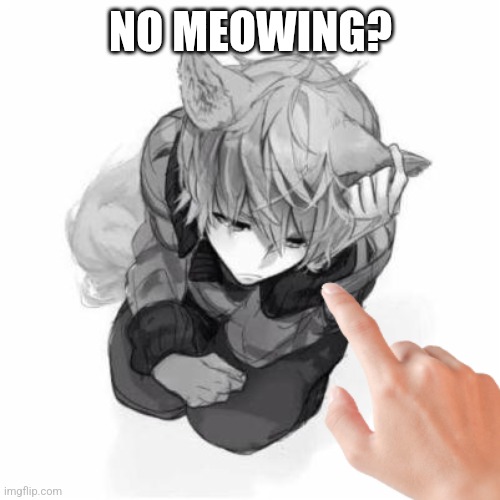 BAD CATBOY | NO MEOWING? | image tagged in bad catboy | made w/ Imgflip meme maker