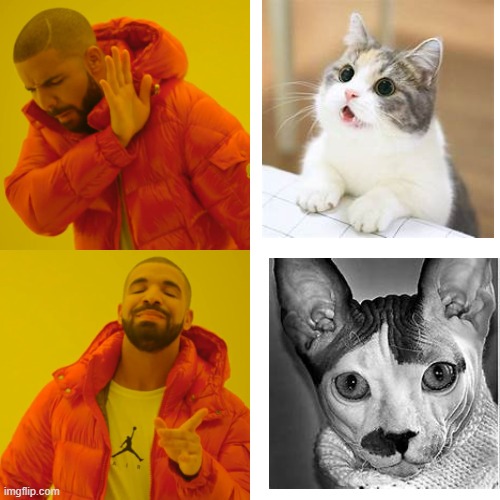 Drake Hotline Bling | image tagged in memes,drake hotline bling | made w/ Imgflip meme maker