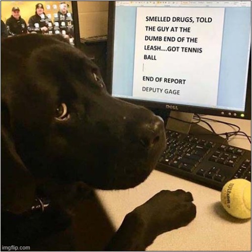 A Hard Working Drugs Dog Fills In Report | image tagged in dogs,drugs,report | made w/ Imgflip meme maker