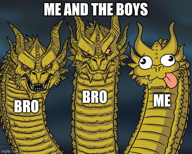 me and the boys | ME AND THE BOYS; BRO; ME; BRO | image tagged in three-headed dragon | made w/ Imgflip meme maker