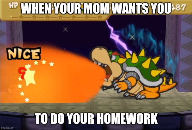 Homework PM | WHEN YOUR MOM WANTS YOU; TO DO YOUR HOMEWORK | image tagged in mario | made w/ Imgflip meme maker