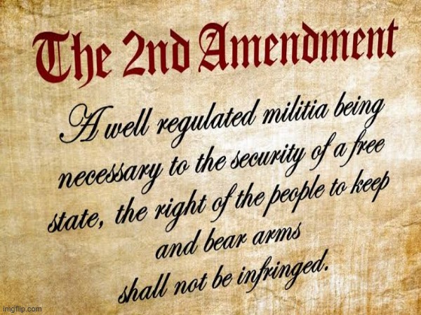 2nd amendment | image tagged in guns,2nd amendment,big gun | made w/ Imgflip meme maker