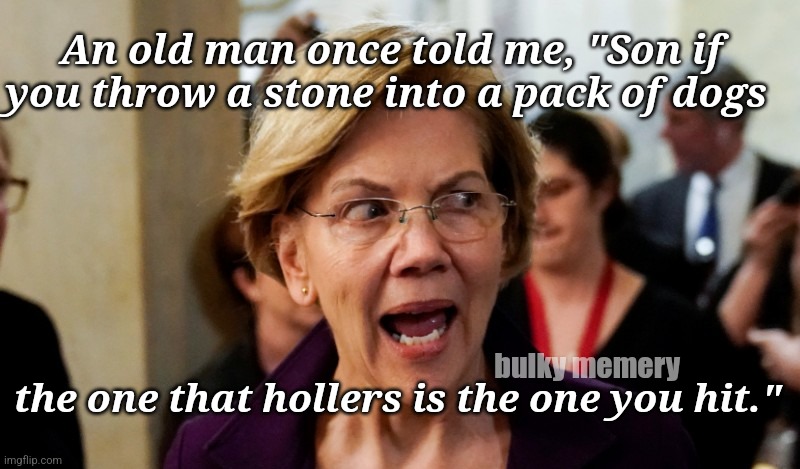 Hollering Faux-cohantas | An old man once told me, "Son if you throw a stone into a pack of dogs; bulky memery; the one that hollers is the one you hit." | image tagged in elizabeth warren,doge,elon musk,donald trump | made w/ Imgflip meme maker