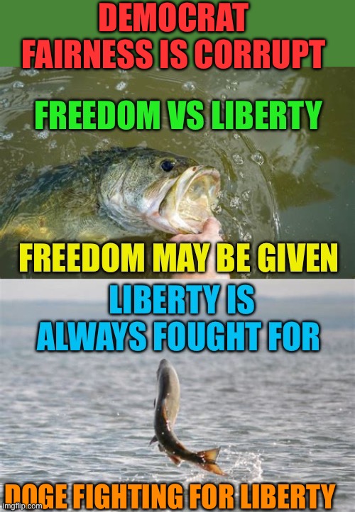 The difference between Freedom and Liberty | DEMOCRAT FAIRNESS IS CORRUPT; DOGE FIGHTING FOR LIBERTY | image tagged in gifs,democrats,corruption,freedom,liberty | made w/ Imgflip meme maker