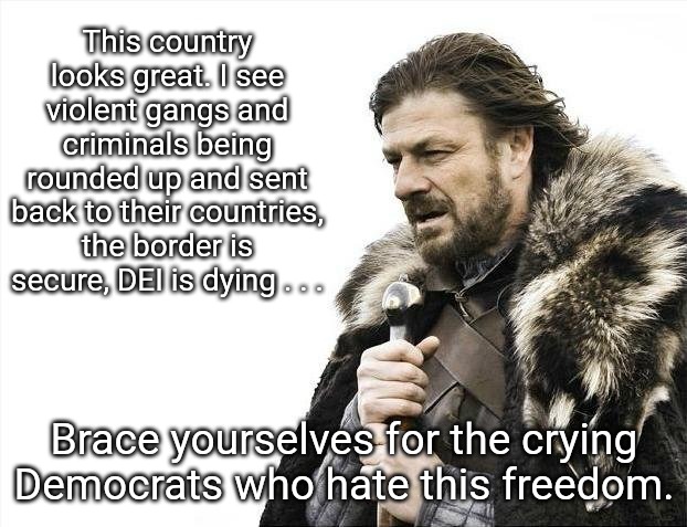 Democrats apparently hate when corruption is stopped. They hate it because they're the ones in loved in it. | This country looks great. I see violent gangs and criminals being rounded up and sent back to their countries, the border is secure, DEI is dying . . . Brace yourselves for the crying Democrats who hate this freedom. | image tagged in memes,brace yourselves x is coming | made w/ Imgflip meme maker