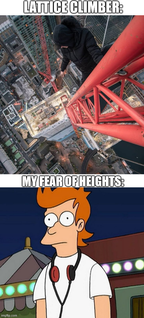 Fry meet lattice climbing | LATTICE CLIMBER:; MY FEAR OF HEIGHTS: | image tagged in fear of heights,futurama,lattice climbing,climbing,memes,sport | made w/ Imgflip meme maker