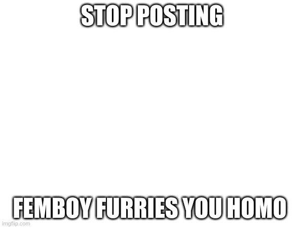 STOP POSTING; FEMBOY FURRIES YOU HOMO | made w/ Imgflip meme maker