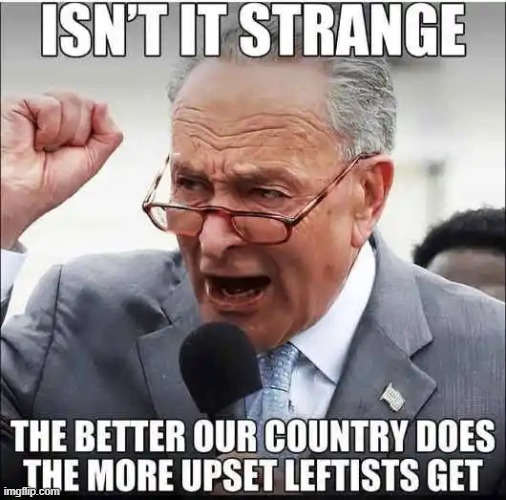 Isn't this the gosh darn TRUTH? | image tagged in crying democrats,radical,not rational,america last,hate america,sjw triggered | made w/ Imgflip meme maker