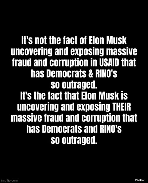 TRUTH! | image tagged in usaid,government corruption,democrats,rino's,politics | made w/ Imgflip meme maker