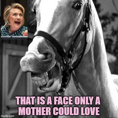 Mr. Ed | THAT IS A FACE ONLY A 
MOTHER COULD LOVE | image tagged in mr ed | made w/ Imgflip meme maker