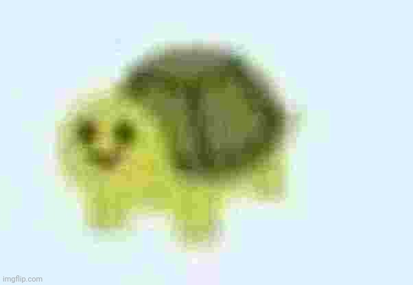 extremely low quality turtle | post this turtle to fill the empty space in the stream | image tagged in low quality turtle | made w/ Imgflip meme maker