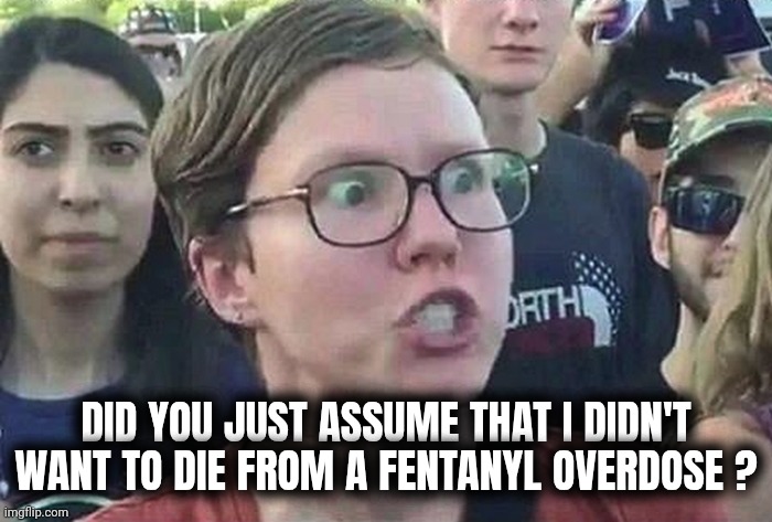 Triggered Liberal | DID YOU JUST ASSUME THAT I DIDN'T WANT TO DIE FROM A FENTANYL OVERDOSE ? | image tagged in triggered liberal | made w/ Imgflip meme maker