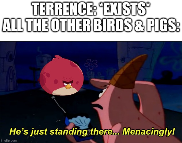 Terrence asserts his dominance everywhere he goes | TERRENCE: *EXISTS*
ALL THE OTHER BIRDS & PIGS: | image tagged in he's just standing there menacingly,terrence,angry birds | made w/ Imgflip meme maker