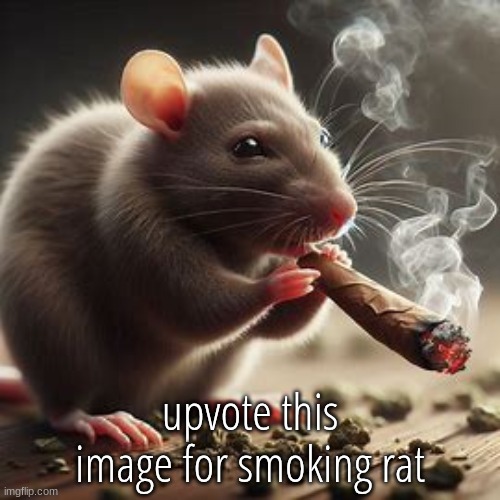 upvote this image for smoking rat | upvote this image for smoking rat | image tagged in repost if you agree | made w/ Imgflip meme maker