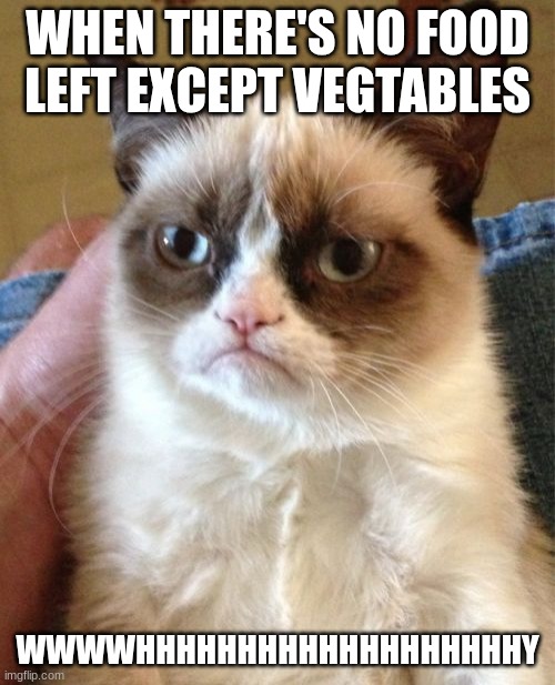 no vegtables | WHEN THERE'S NO FOOD LEFT EXCEPT VEGTABLES; WWWWHHHHHHHHHHHHHHHHHHHY | image tagged in memes,grumpy cat | made w/ Imgflip meme maker