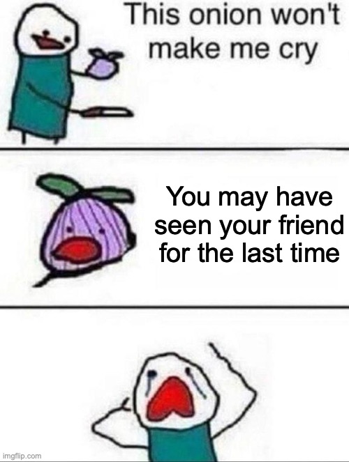 Scary to think about | You may have seen your friend for the last time | image tagged in this onion wont make me cry,friends,sad | made w/ Imgflip meme maker