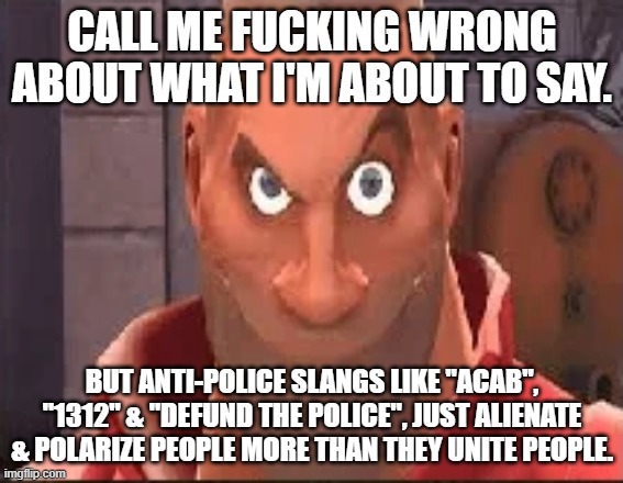 CALL ME FUCKING WRONG ABOUT WHAT I'M ABOUT TO SAY. BUT ANTI-POLICE SLANGS LIKE "ACAB", "1312" & "DEFUND THE POLICE", JUST ALIENATE & POLARIZE PEOPLE MORE THAN THEY UNITE PEOPLE. | image tagged in memes,meme,fun,police | made w/ Imgflip meme maker