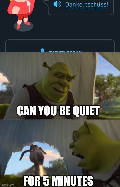 CAN YOU BE QUIET; FOR 5 MINUTES | image tagged in for 5 minutes | made w/ Imgflip meme maker