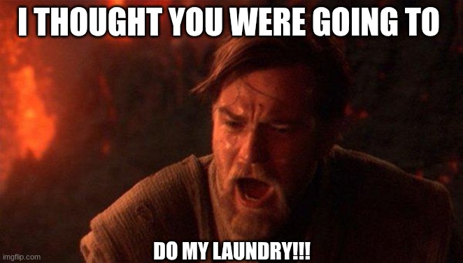 star wars meam | I THOUGHT YOU WERE GOING TO; DO MY LAUNDRY!!! | image tagged in memes,you were the chosen one star wars | made w/ Imgflip meme maker