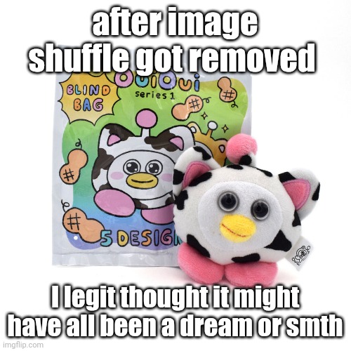 OuiOui Series 1 Blindbag | after image shuffle got removed; I legit thought it might have all been a dream or smth | image tagged in ouioui series 1 blindbag | made w/ Imgflip meme maker