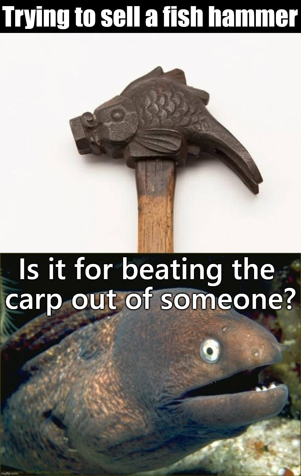 Can you do better? | Trying to sell a fish hammer; Is it for beating the 
carp out of someone? | image tagged in memes,bad joke eel | made w/ Imgflip meme maker