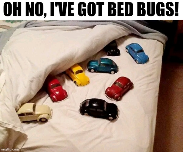 Oh No, I've Got Bed Bugs! | OH NO, I'VE GOT BED BUGS! | image tagged in chris joines | made w/ Imgflip meme maker