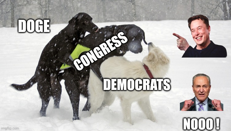 Done with being screwed over | DOGE; CONGRESS; DEMOCRATS; NOOO ! | image tagged in doggie three way,democrats,liberals,leftists,welfare world | made w/ Imgflip meme maker