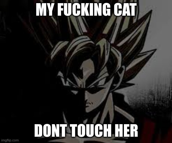 MY FUCKING CAT DONT TOUCH HER | made w/ Imgflip meme maker